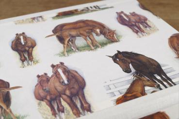 Schachtel "Pferde", Archivbox mit Tiermotiv